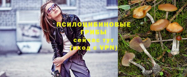 стаф Вяземский