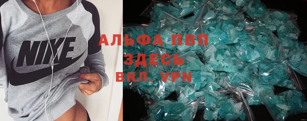 стаф Вяземский