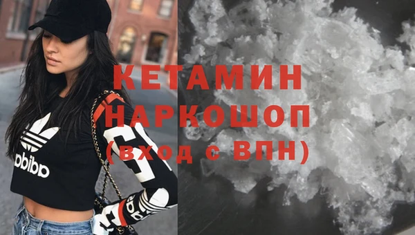 стаф Вяземский