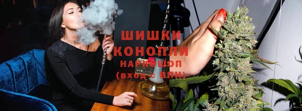 стаф Вяземский