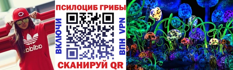 Галлюциногенные грибы прущие грибы  даркнет сайт  OMG ссылки  Железногорск 