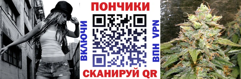 дарнет шоп Железногорск Бошки Шишки конопля